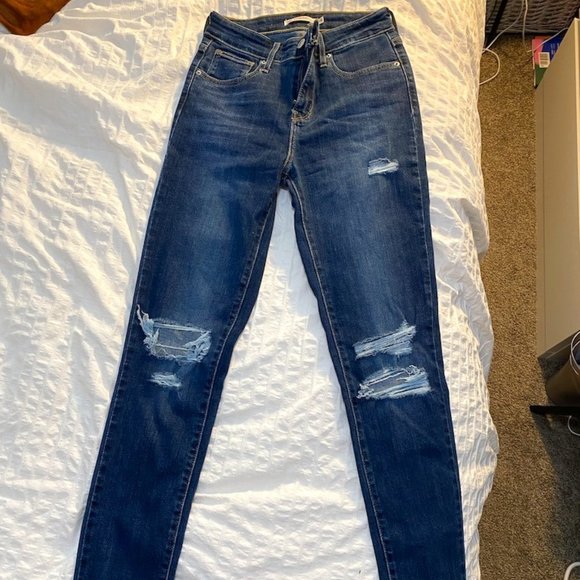 Levi's Denim - Levi's Dark Wash Skinny Jeans